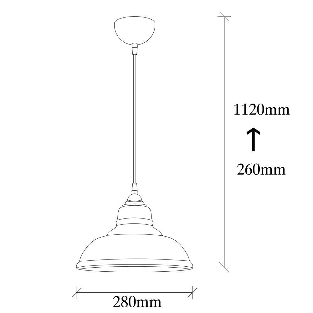 Dilberay Metal Ceiling Pendant Light in Black