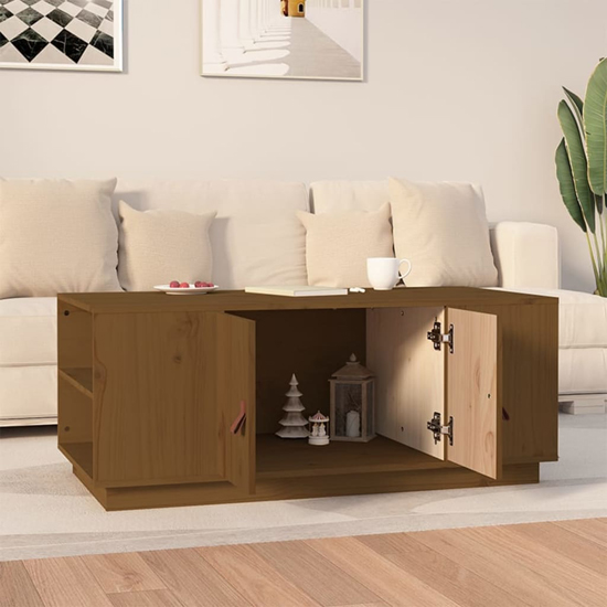 Drika Pinewood Coffee Table With 2 Doors And Shelves In Brown