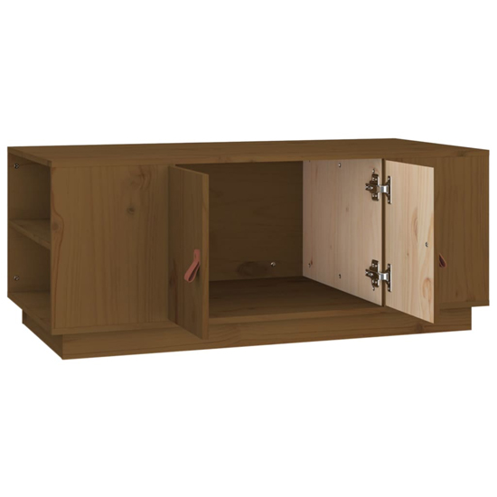 Drika Pinewood Coffee Table With 2 Doors And Shelves In Brown