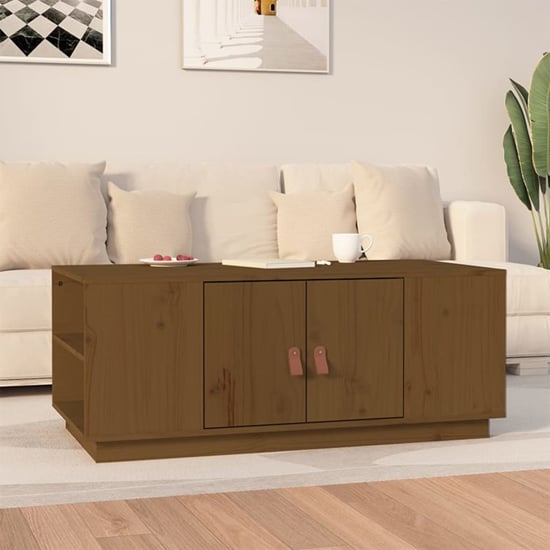 Read more about Drika pinewood coffee table with 2 doors and shelves in brown