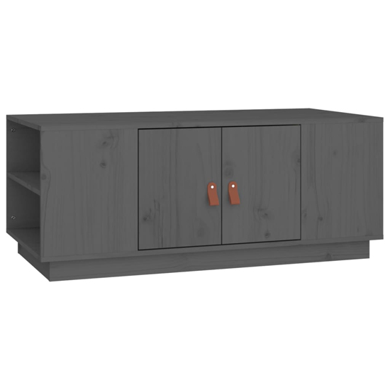 Drika Pinewood Coffee Table With 2 Doors And Shelves In Grey