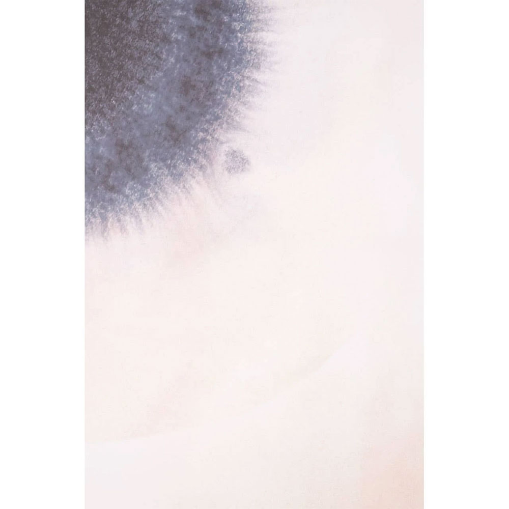 Elmiron Canvas Classic Wall Art in Multicolour