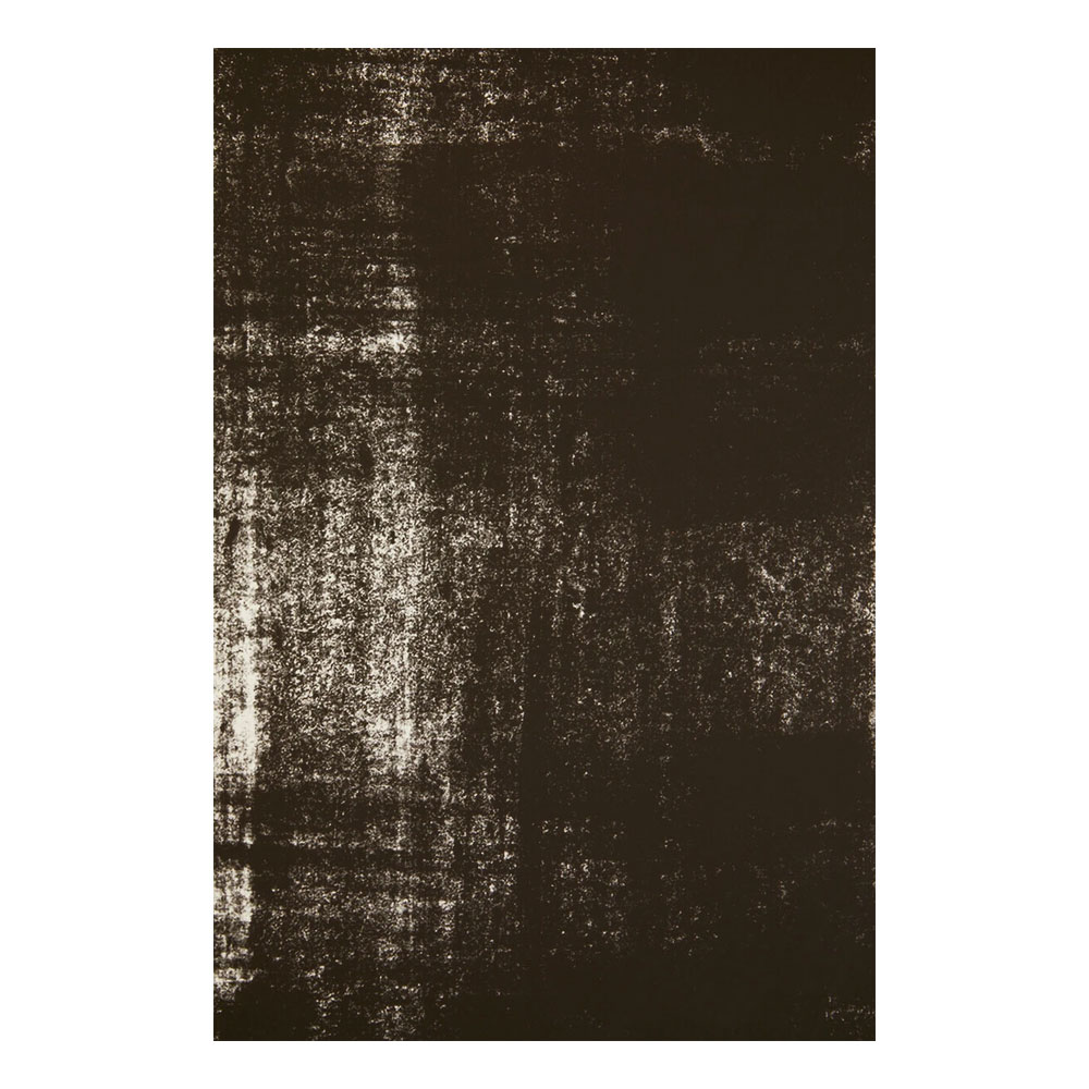 Elmiron Canvas Monochrome Wall Art in Black And White
