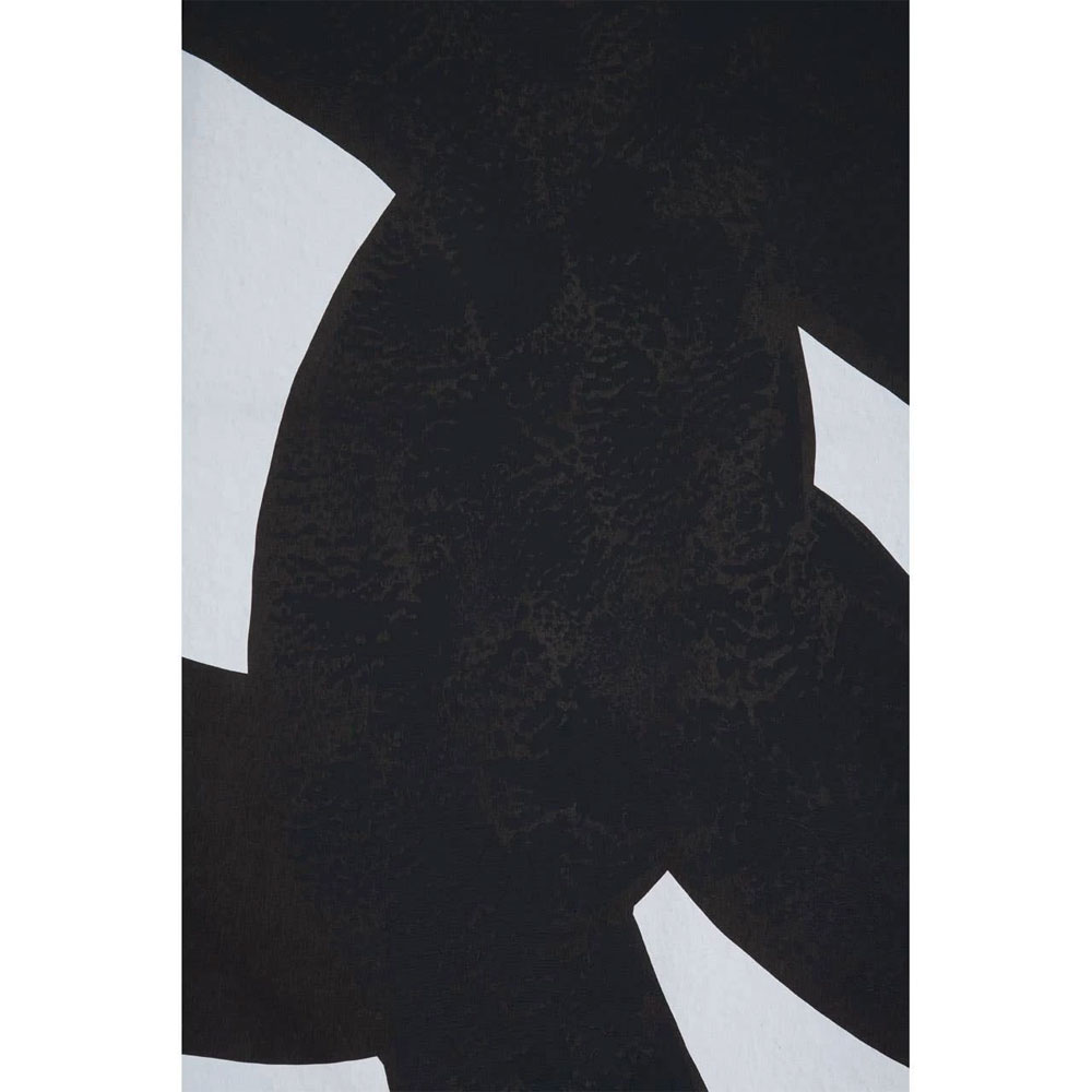 Elmiron Canvas Set of 2 Abstract Wall Art in Black and White