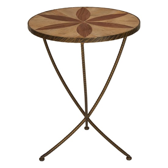 Eltro Large Wooden Side Table With Antique Brass Legs In Brown_2