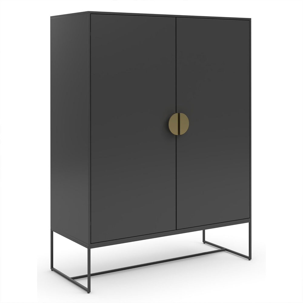 Elvian Wooden Storage Cabinet with 2 Doors in Anthracite and Grey