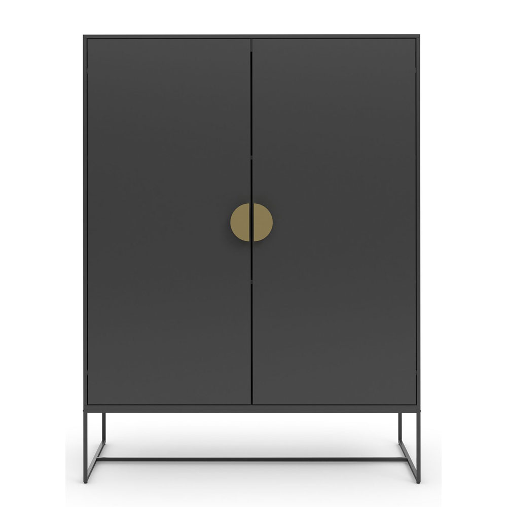 Elvian Wooden Storage Cabinet with 2 Doors in Anthracite and Grey