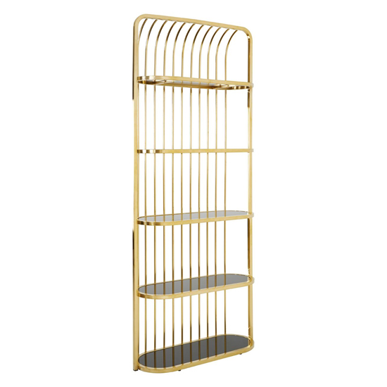 Read more about Fafnir cage design black glass bookshelf with gold frame