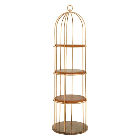 Fafnir Large Cage Design Bookshelf With Rose Gold Frame