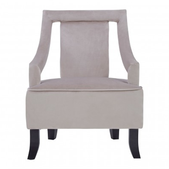 Fagos Velvet Upholstered Armchair In Mink_2
