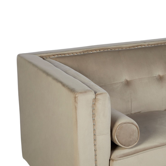 Felisen Velvet Upholstered 2 Seater Sofa In Mink_3