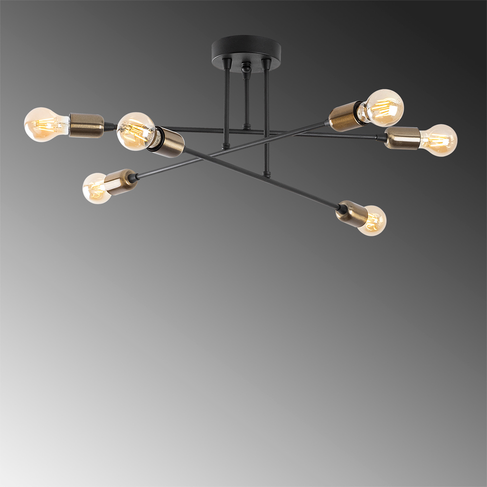 Fleur 6 Light Metal Ceiling Pendant Light in Black