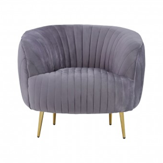 Florino Upholstered Velvet Armchair With Gold Legs In Grey_2