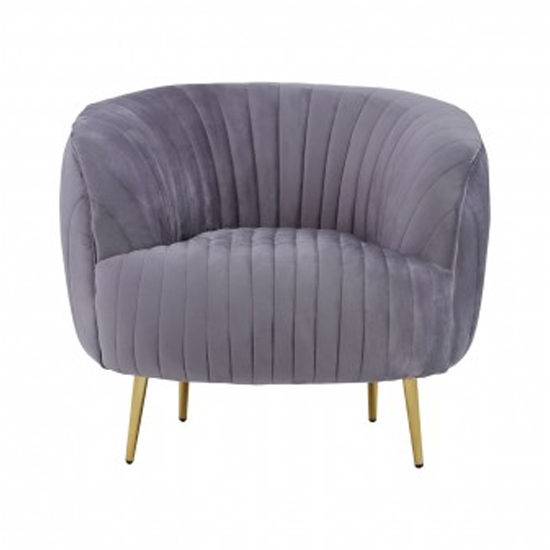 Florino Upholstered Velvet Armchair With Gold Legs In Grey