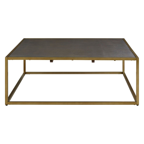 Fomalhaut Wooden Coffee Table With Gold Metal Frame In Brown_2