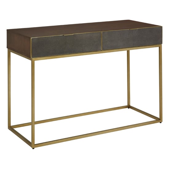 Fomalhaut Wooden Console Table With Gold Metal Frame In Brown_1