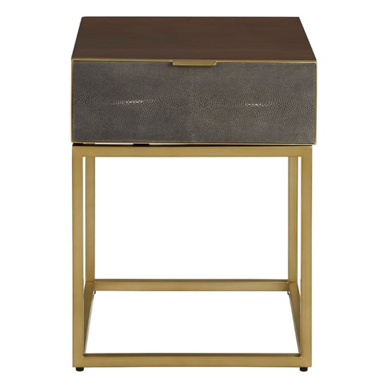 Fomalhaut Wooden End Table With Gold Metal Frame In Brown
