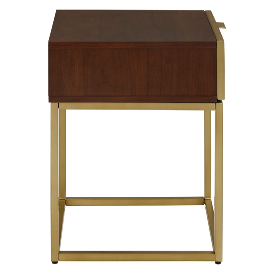 Fomalhaut Wooden End Table With Gold Metal Frame In Brown