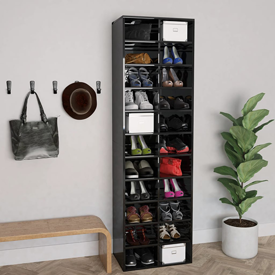 Fraley High Gloss Shoe Storage Cabinet With 22 Shelves In Black