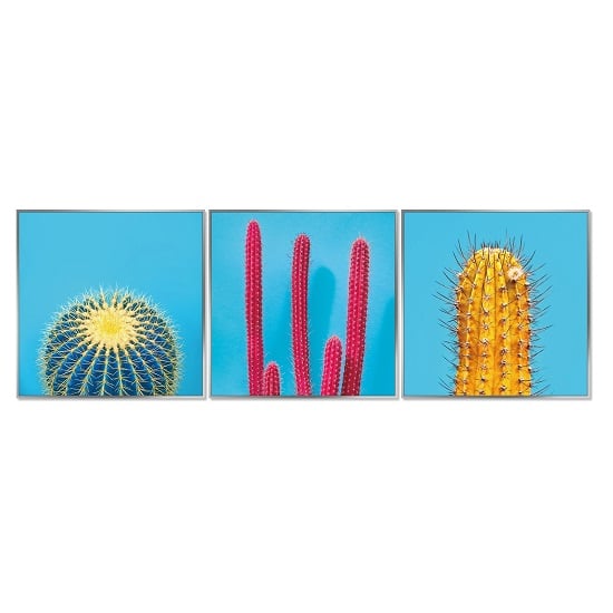 Photo of Acrylic framed cactus pictures -set of three-