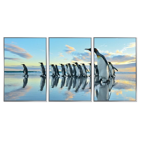 Photo of Acrylic framed penguin march pictures -set of three-