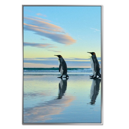 Acrylic Framed Penguin March Pictures (Set of Three)_2