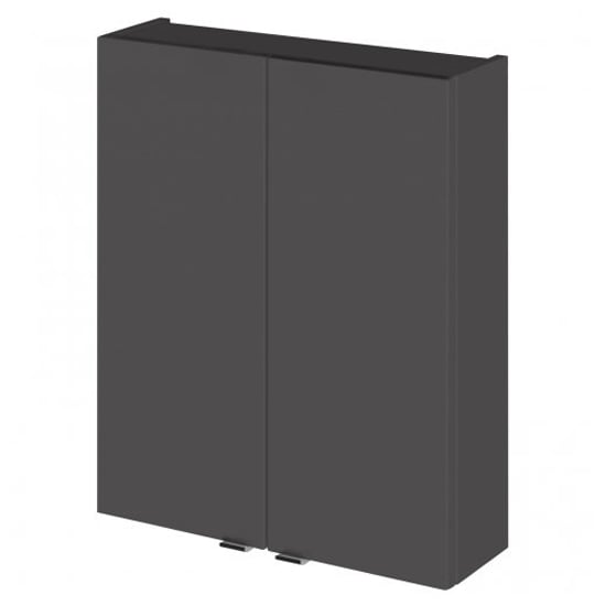 Read more about Fuji 50cm bathroom wall unit in gloss grey with 2 doors