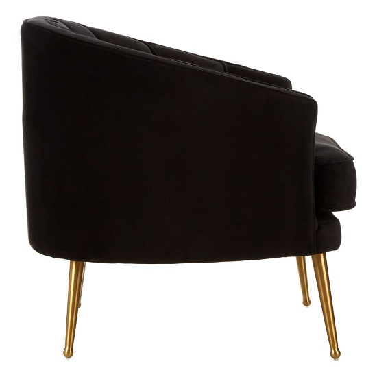 Grayson Velvet Tub Chair In Black With Gold Finish Legs FiF
