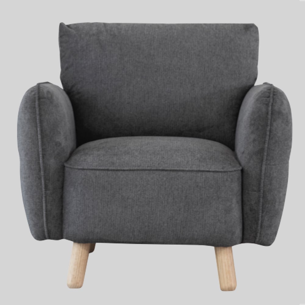 Gunnison Fabric 1 Seater Sofa In Dark Grey