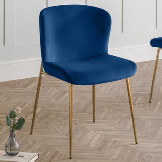 Read more about Haimi velvet dining chair in blue with gold metal legs