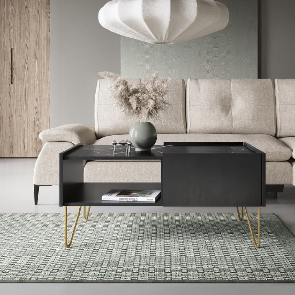 Read more about Hamden wooden coffee table with 2 drawers in black