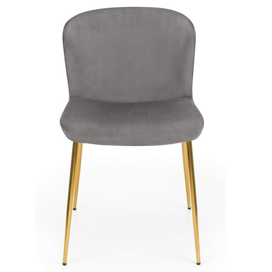 Haimi Grey Velvet Dining Chair With Gold Metal Legs In Pair_3