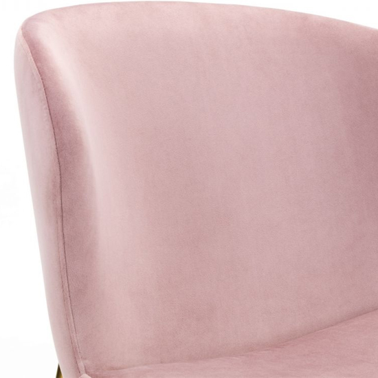 Haimi Pink Velvet Dining Chair With Gold Metal Legs In Pair_4