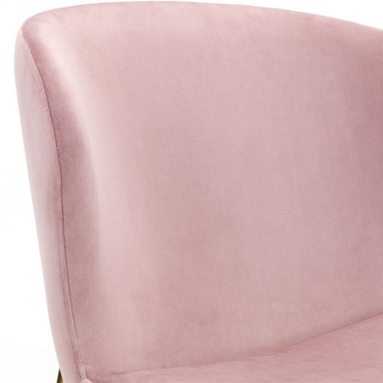Haimi Velvet Dining Chair In Dusky Pink With Gold Metal Legs_4