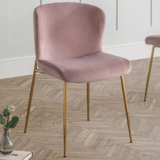 Haimi Velvet Dining Chair In Dusky Pink With Gold Metal Legs