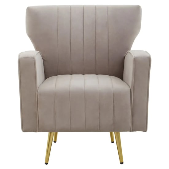 Read more about Hasselt velvet armchair in mink with gold metal legs