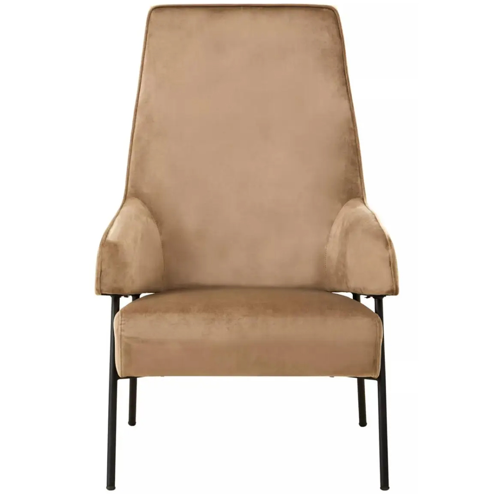 Herriman Velvet Bedroom Chair In Mink