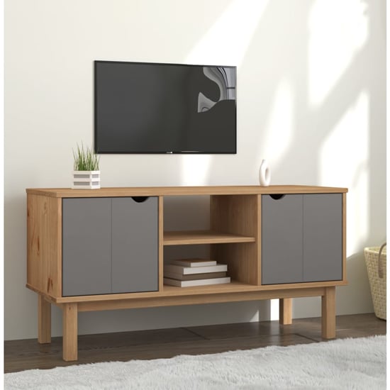 Read more about Hewitt pine wood tv stand with 2 doors in brown and grey