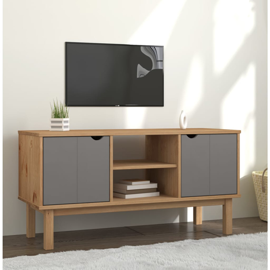 Hewitt Pine Wood TV Stand With 2 Doors In Brown And Grey Furniture in Fashion
