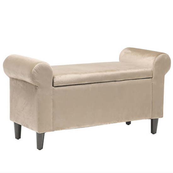 Highgrave Velvet Storage Ottoman In Beige