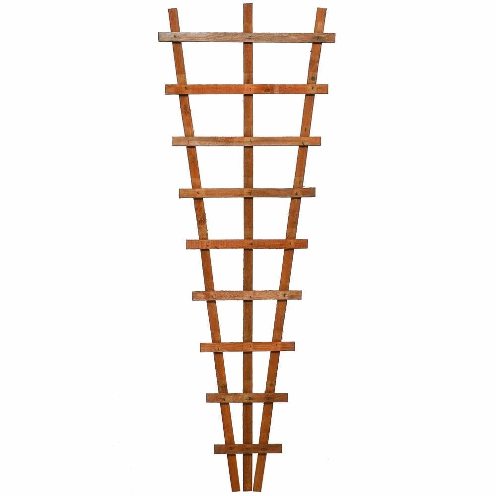 Hizo Wooden Garden Heavy Duty Fan Trellis In Honey Brown