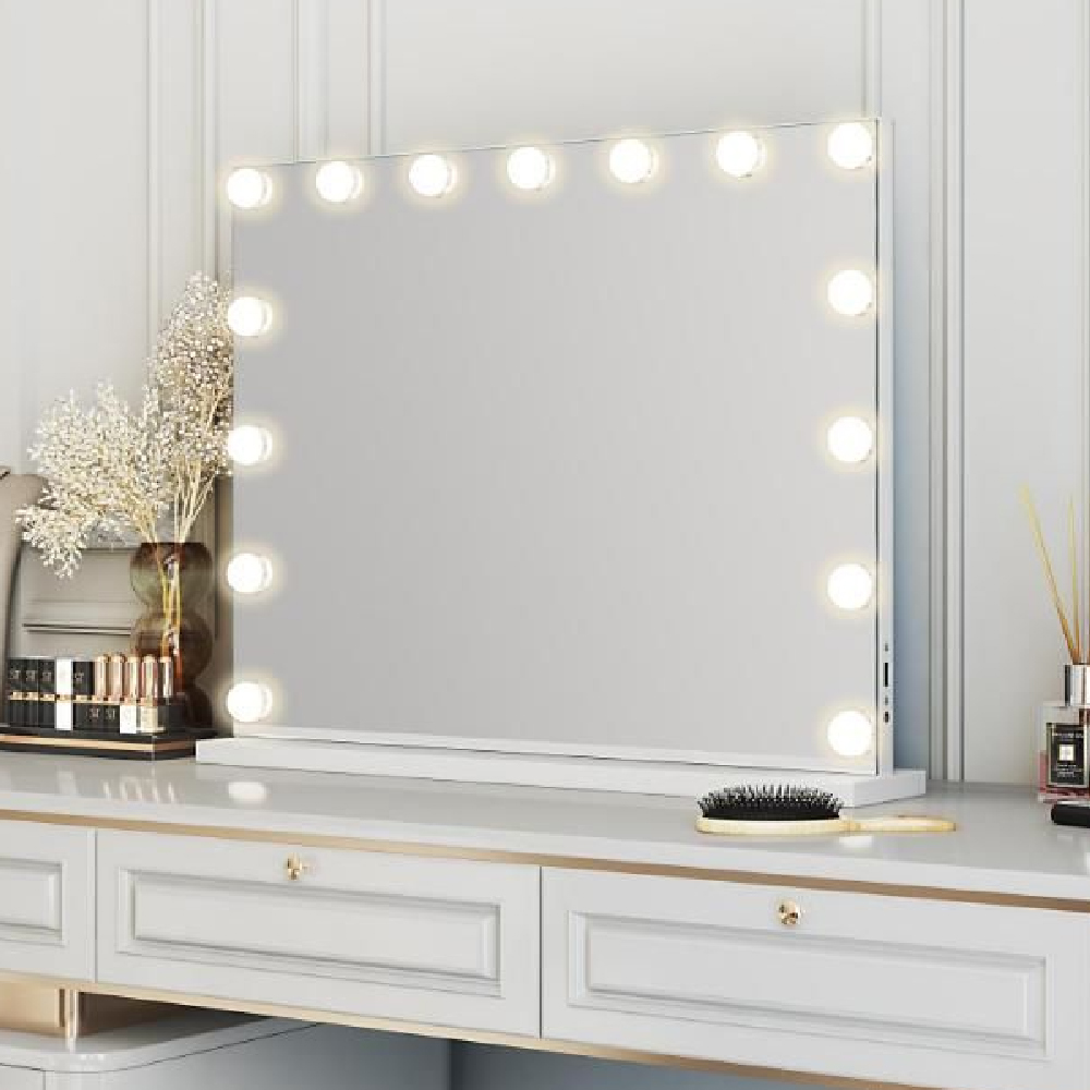 Holmdel Large Dressing Mirror With LED Lighting In Clear