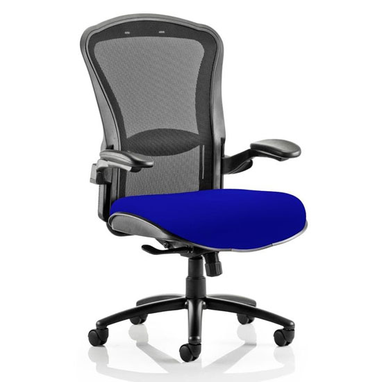 Photo of Houston heavy black back office chair with stevia blue seat