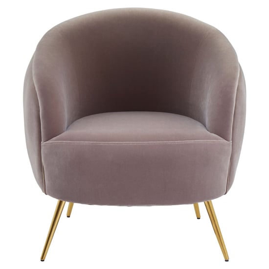 Intercrus Upholstered Velvet Armchair In Mink And Gold_3