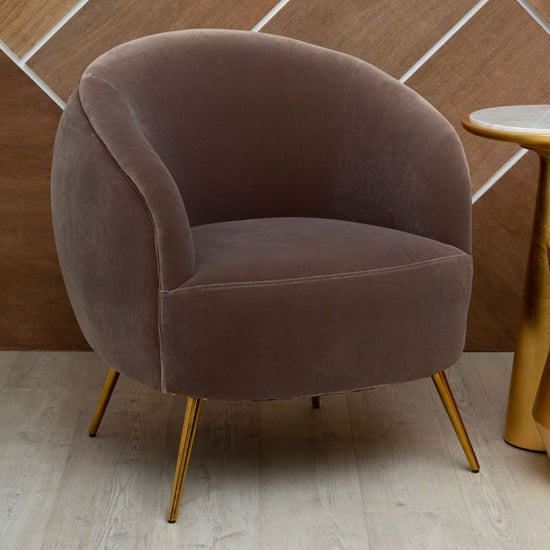 Photo of Intercrus upholstered velvet armchair in mink and gold