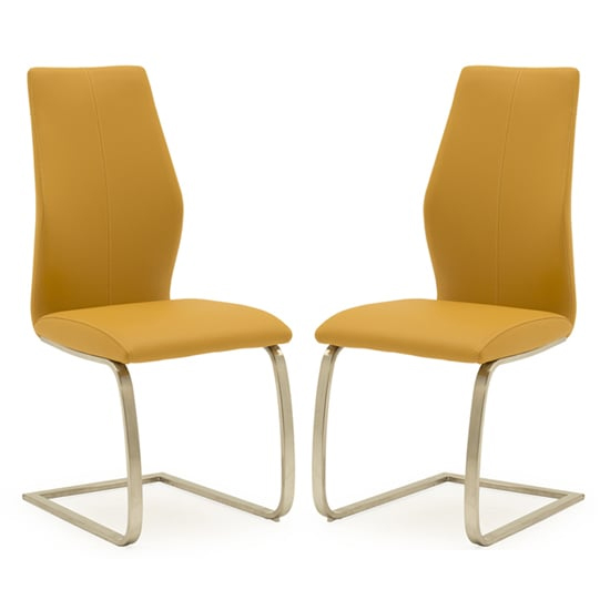 Read more about Irmak pumpkin leather dining chairs with steel frame in pair