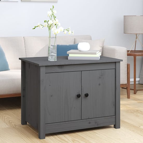 Product photograph of Janie Pine Wood Coffee Table With 2 Doors In Grey from Furniture in Fashion