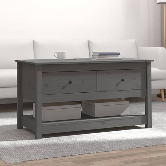 Janie Pine Wood Coffee Table With 2 Drawers In Grey
