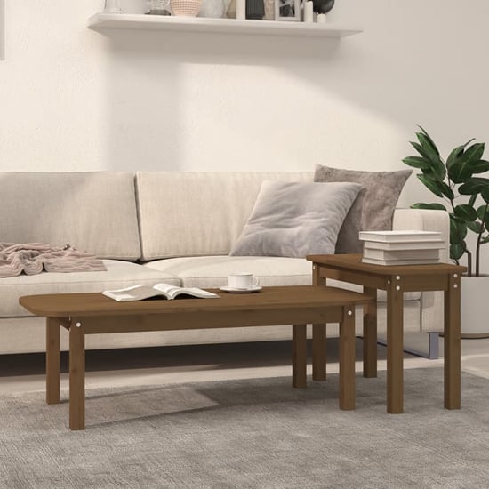 Read more about Karis solid pine wood set of 2 coffee tables in honey brown
