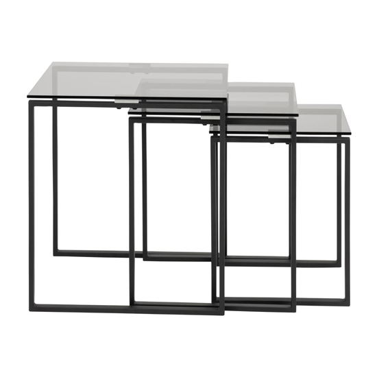 Kennesaw Smoked Glass Nest Of 3 Tables With Black Legs_4